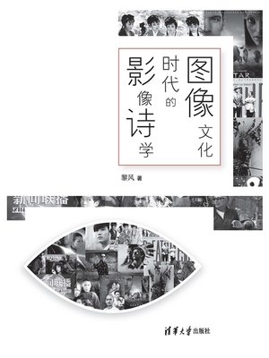 cover image of 图像文化时代的影像诗学